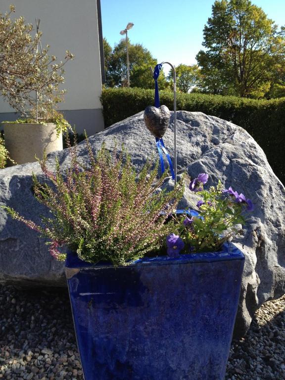 Aurora Bed & Breakfast Simrishamn Exterior photo