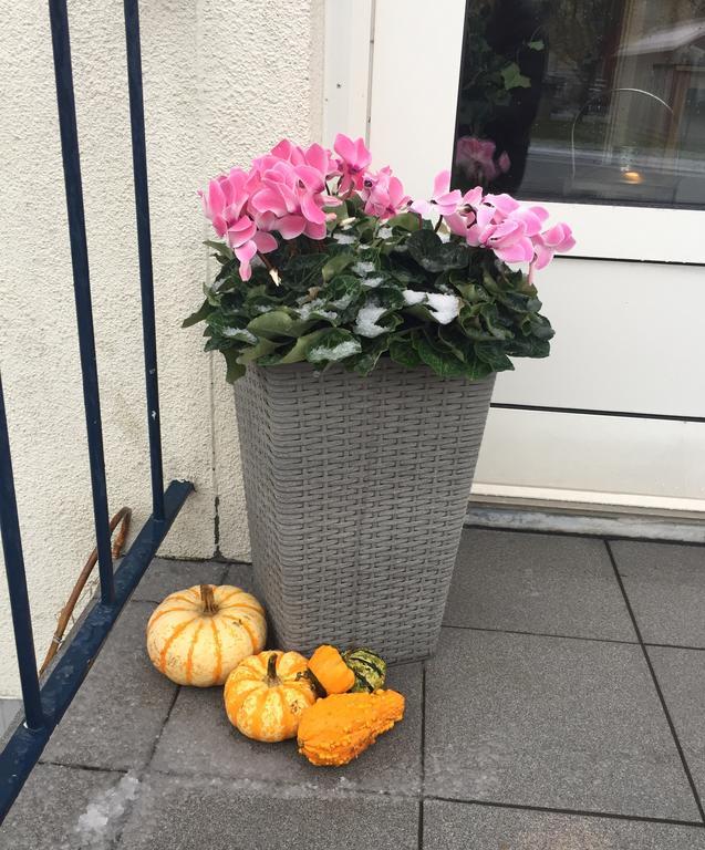 Aurora Bed & Breakfast Simrishamn Exterior photo